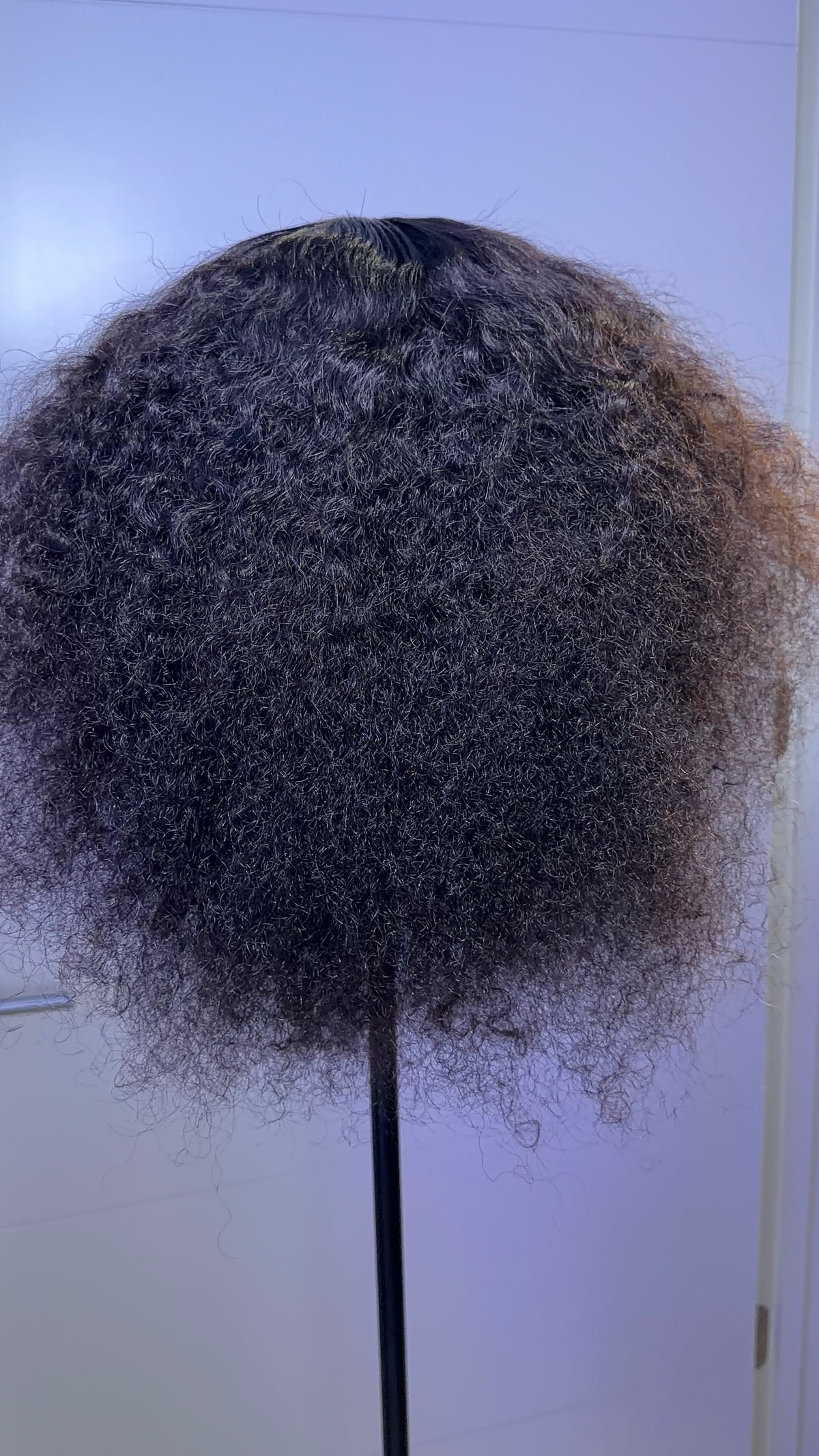 Short Curly Wig